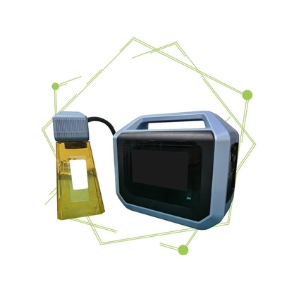Portable Fiber Laser Engraving Machine for Portable Mini Metal Nameplate Mold Flange Coding